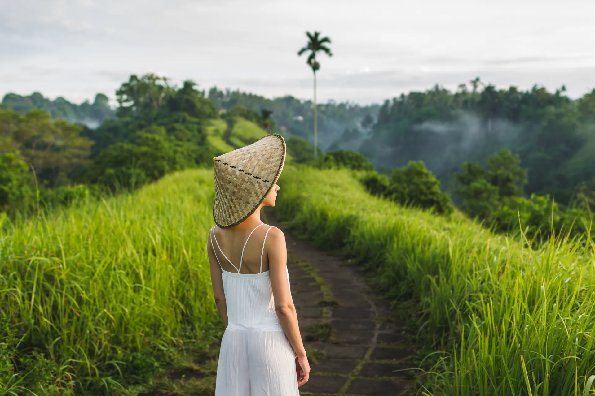 Ubud Bali Campuhan Ridge