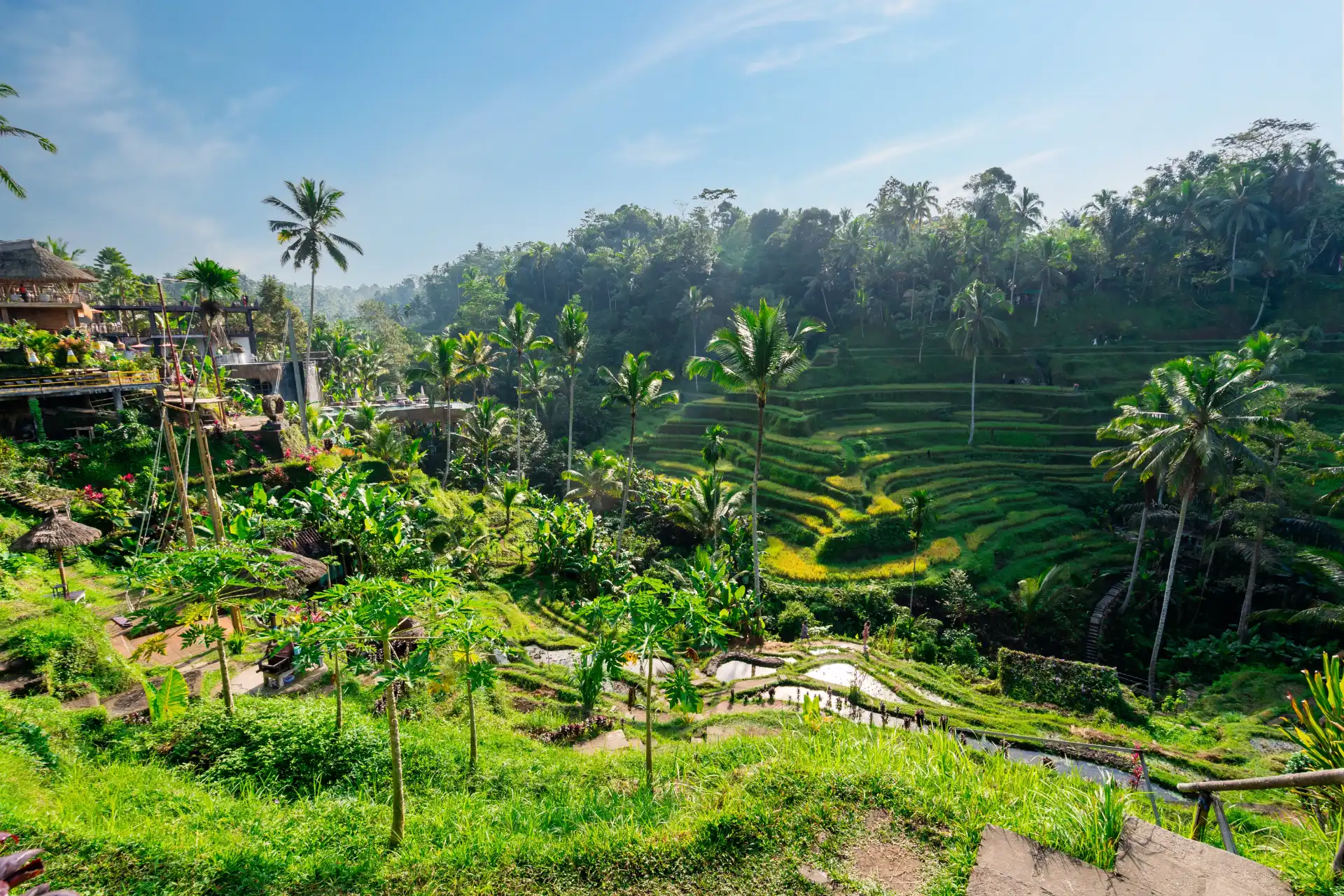 Ubud - Tegalalang Rice Field